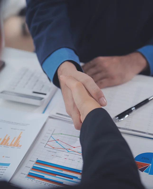 Gestão Organizacional